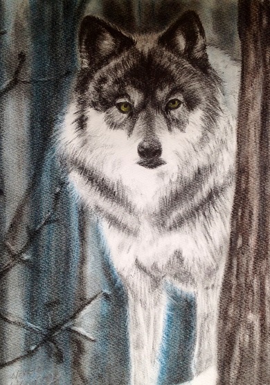 Live And Let Howl Art | Howling For Wolves